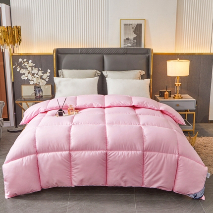 فندق وينتر لزيج قسط طوال الموسم