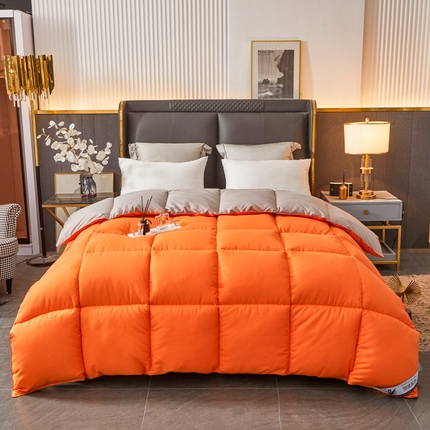 فندق وينتر لزيج قسط طوال الموسم