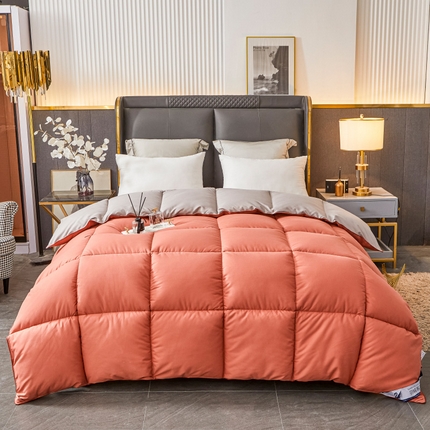 فندق وينتر لزيج قسط طوال الموسم