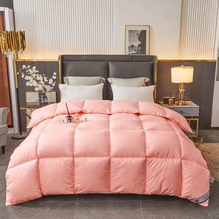 فندق وينتر لزيج قسط طوال الموسم