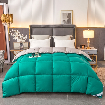 فندق وينتر لزيج قسط طوال الموسم