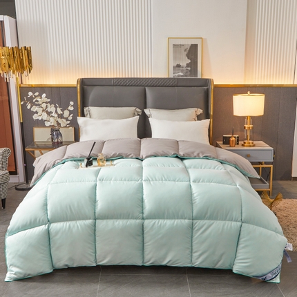 فندق وينتر لزيج قسط طوال الموسم