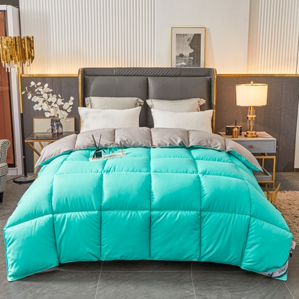 فندق وينتر لزيج قسط طوال الموسم