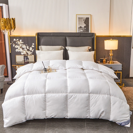 فندق وينتر لزيج قسط طوال الموسم