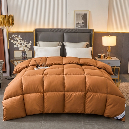 فندق وينتر لزيج قسط طوال الموسم